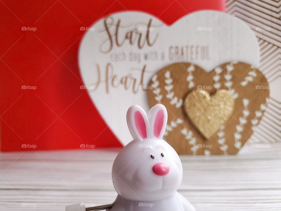 The Year of the Rabbit. A symbolic representation with a wind up Rabbit. We often wind up and run non stop, but in the year of the Rabbit it is time to slow down, reflect, have hope and peace.