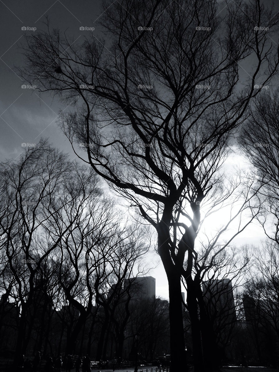 soft lite by gerardo