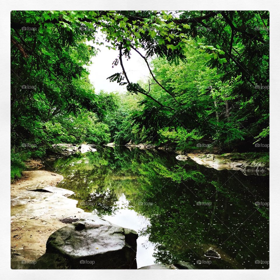 Water, Nature, River, Landscape, Wood
