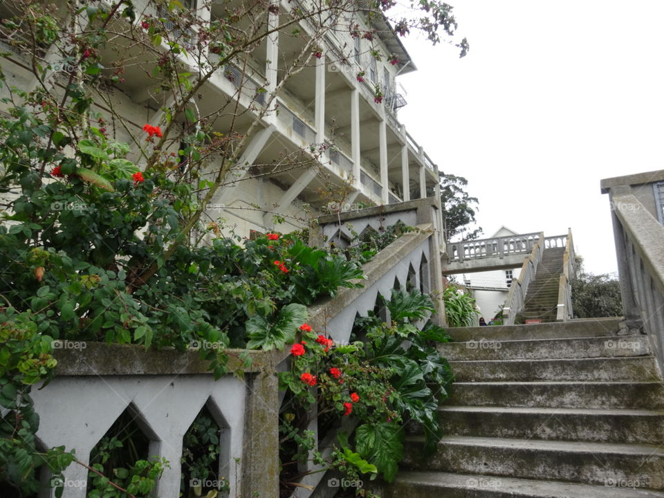 A staircase on Alcatraz Island in San Francisco, California, sporting spring blooms.