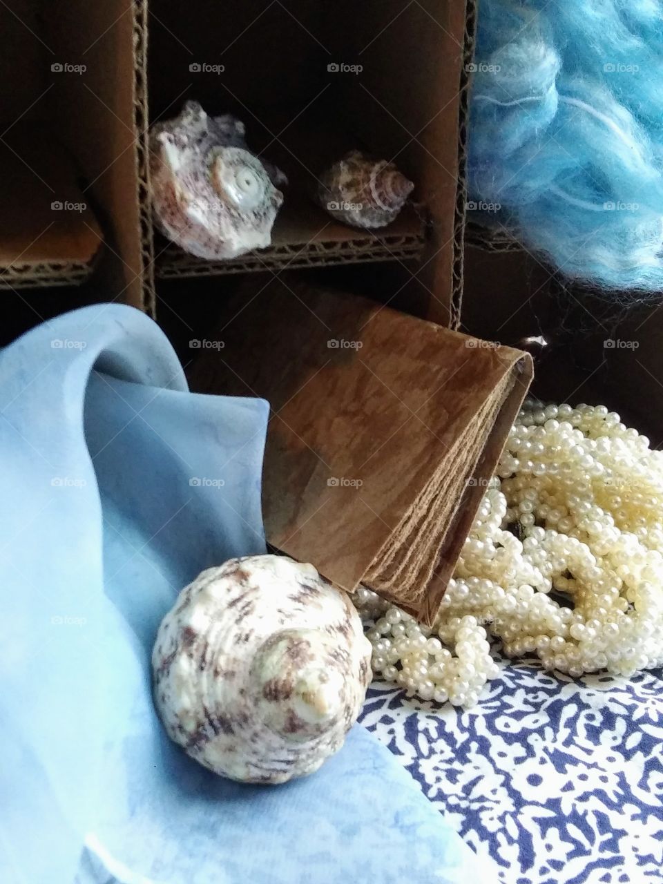 treasures from the sea