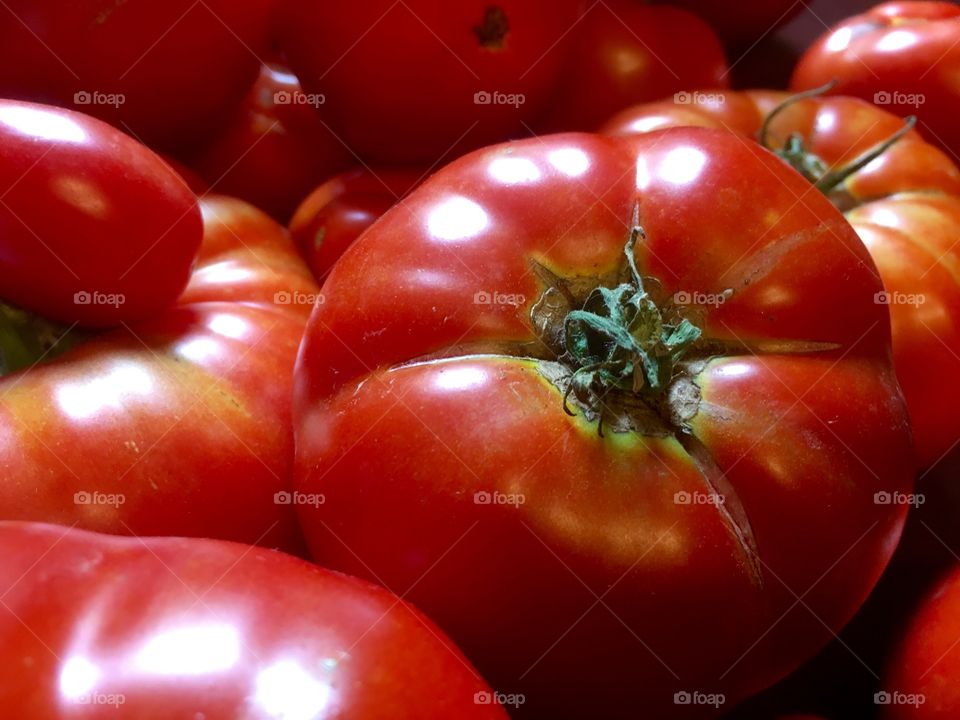 Tomatoes, ripe, red, fruit, garden, natural, harvest 
