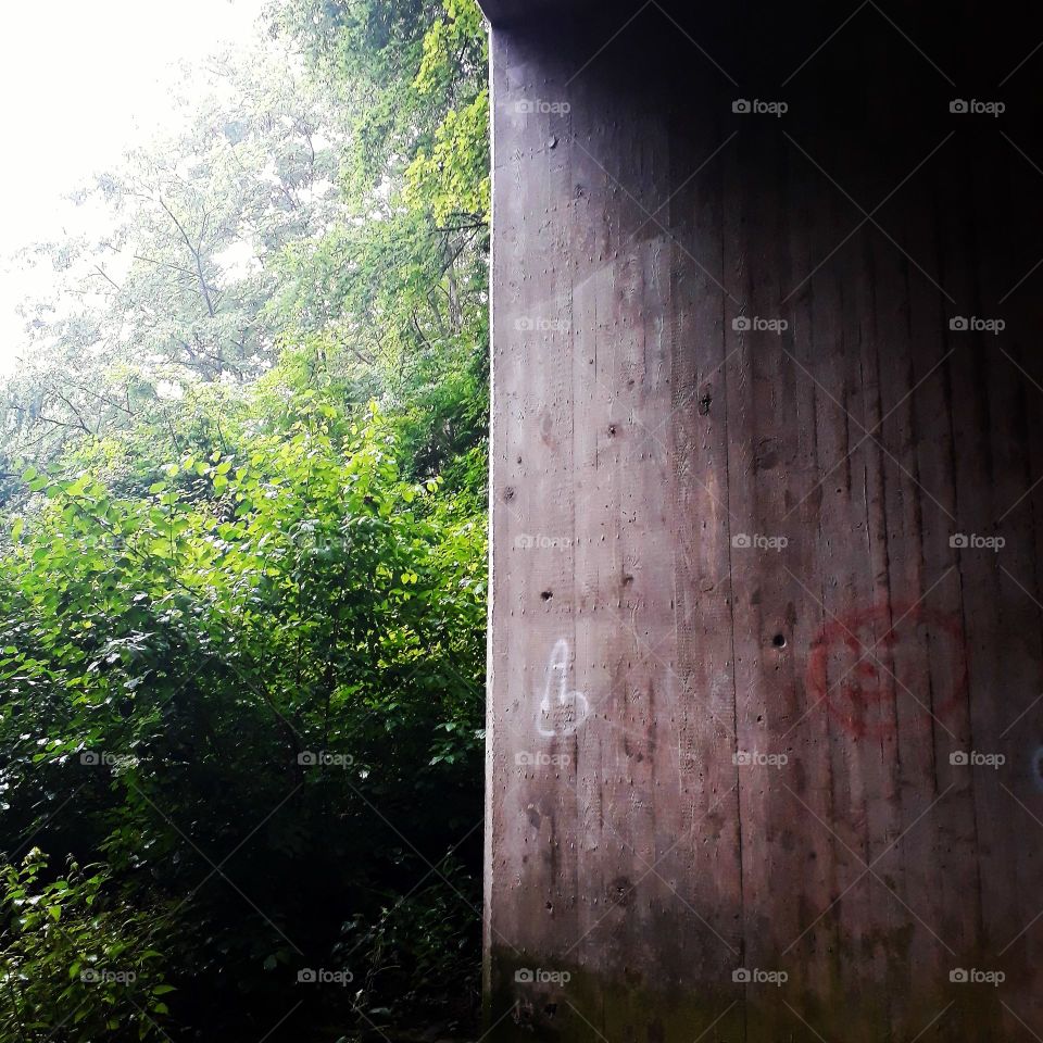 contrast/concrete/nature