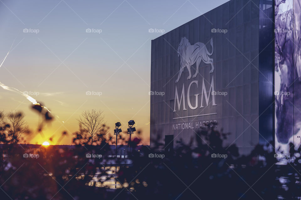 MGM Sunset