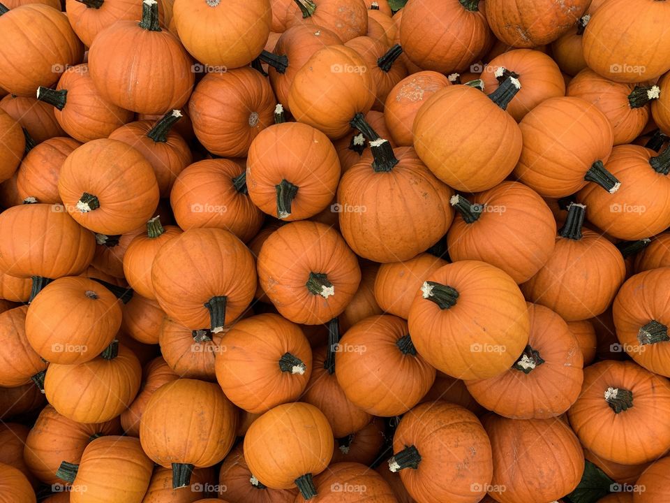 Pumpkins