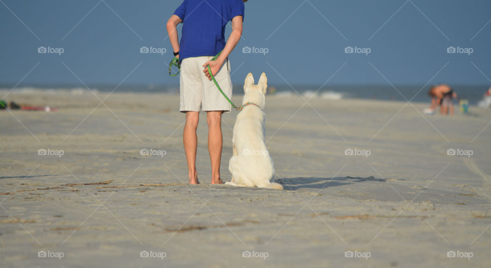 Walking the dog on the beach