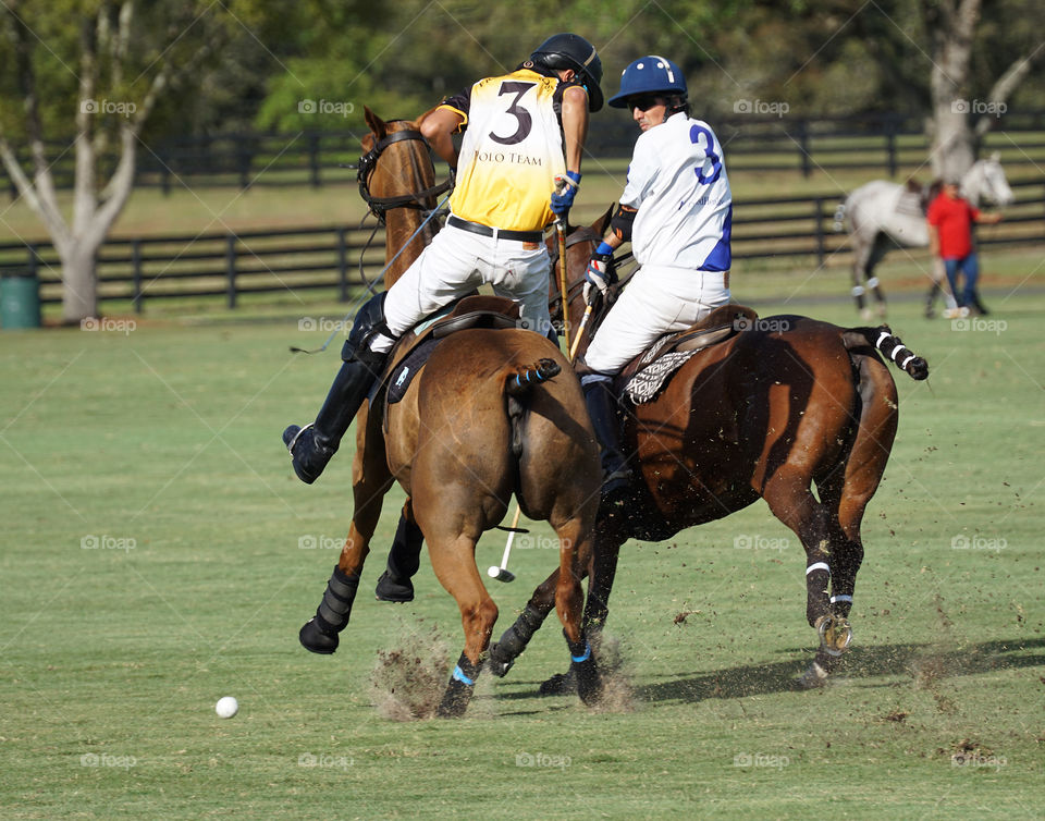 Polo two riders hit the polo ball
