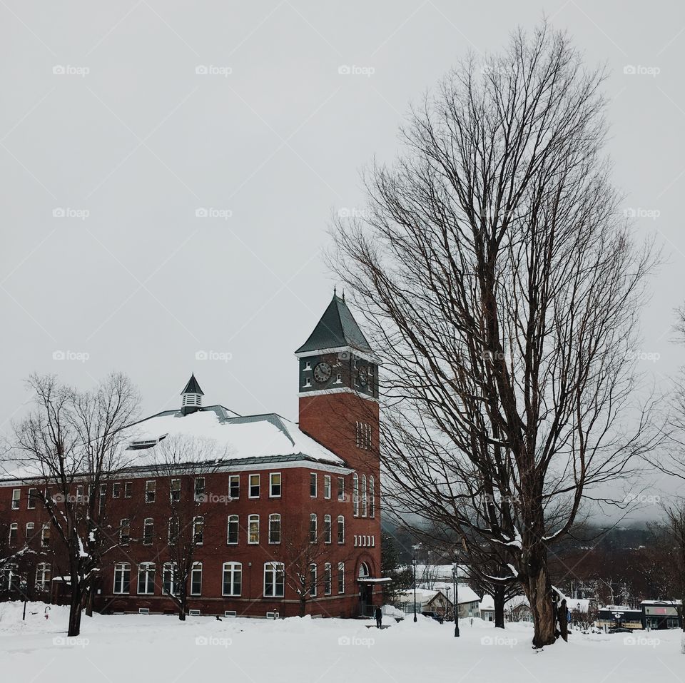 Plymouth State University Winter