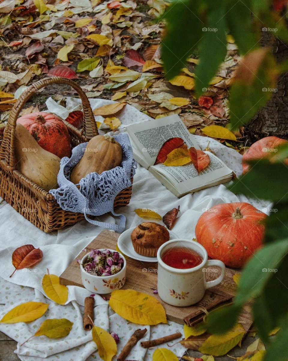 ground covered with beautiful Fall leaves! a basket of pumpkins! a cup of hot tea! cake and book..Fall, Color, Taste and Happiness is in the air...