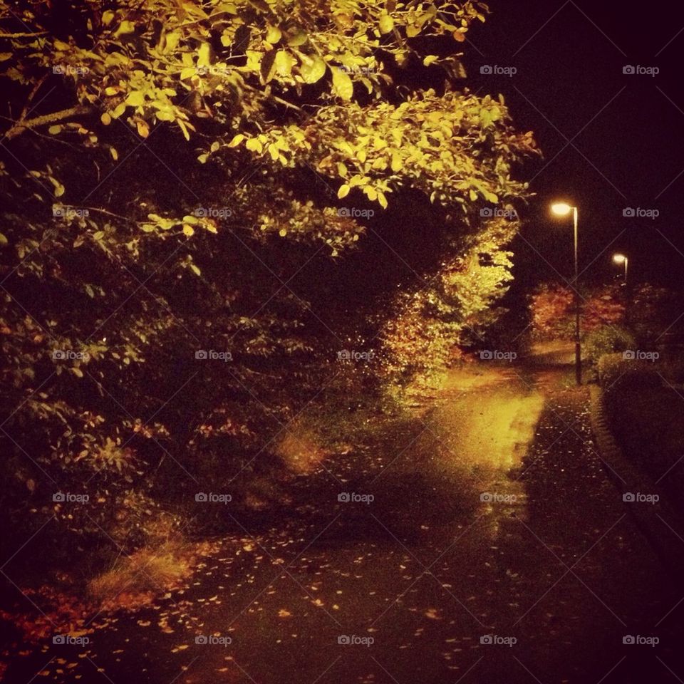 Night walkway streetlight