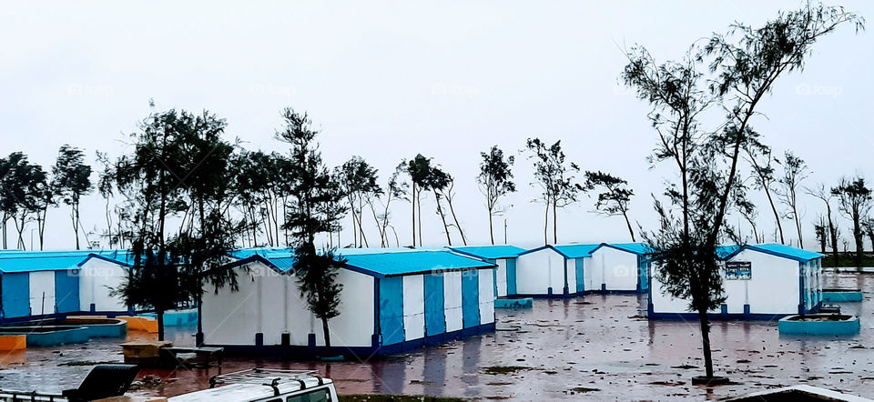 Front sea facing small blue and white coloured cottages covered with tall trees near beach side...