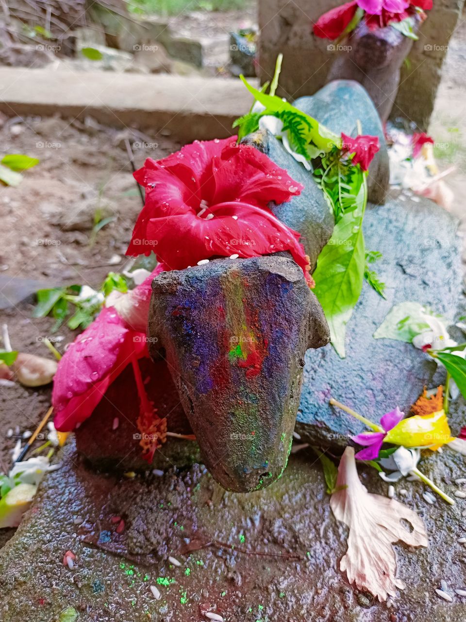 there is a custom in Hinduism to whisper your wish in the ear of sculpture of ox and the lord shiva will fulfill your wish.