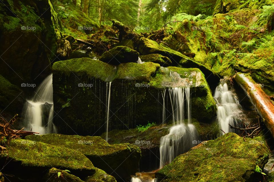 Waterfall in forest