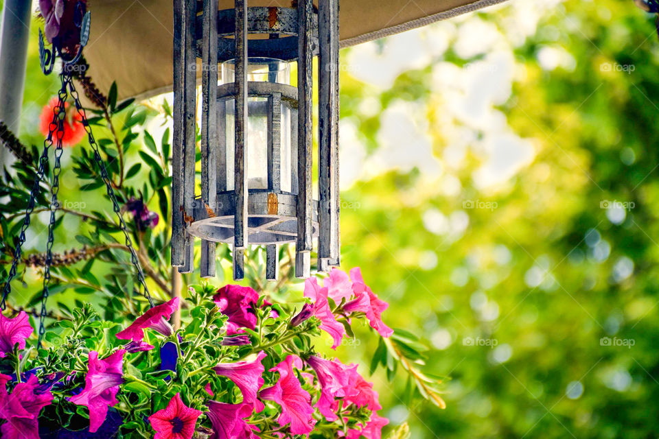 Hanging Lantern And Flower Pot With Purple Petunia Flowers