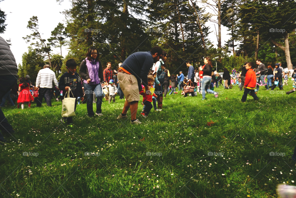 Easter Eggs Hunt