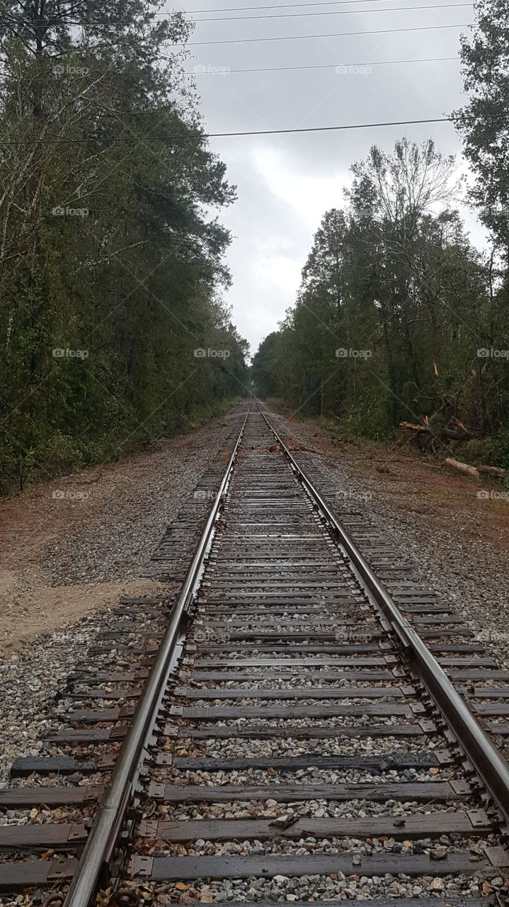 Alabama tracks
