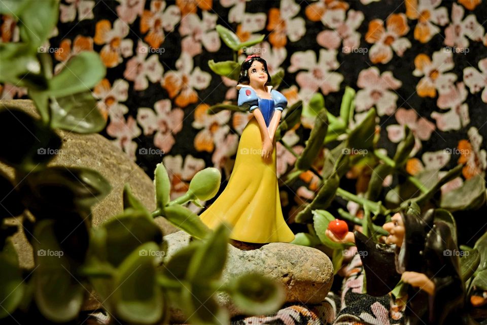 cute portrait with Snow white standing on a rock between plants and a flower background