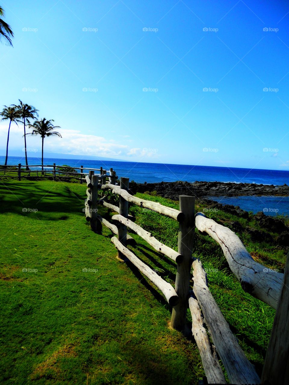 Fence on meadow with sea in background