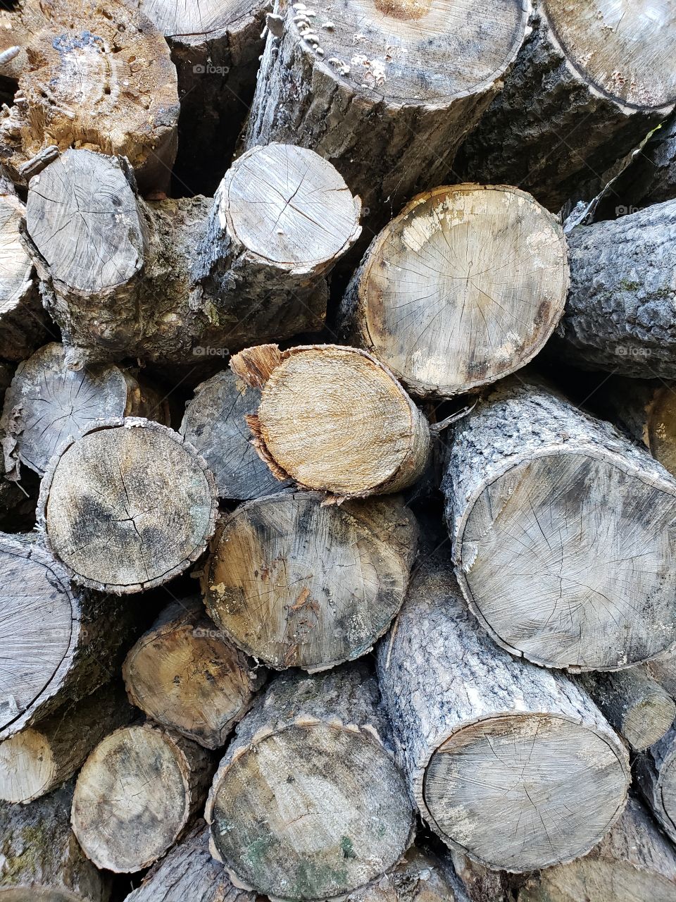 close up of firewood pile logs