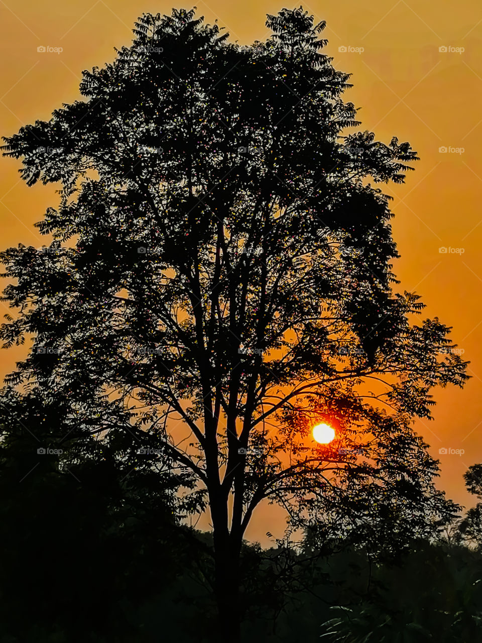 Beautiful sunset scenery and red natural background  of sky in a evening.