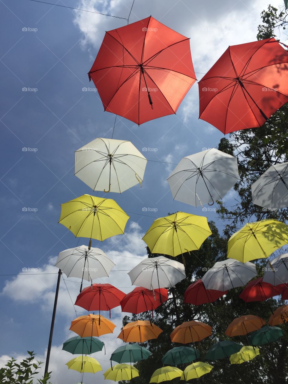 Covering ur head to ur feet, from the sun & rain - Umbrella