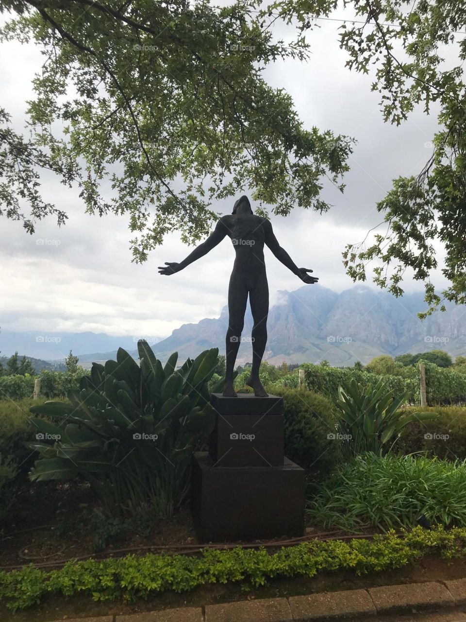 Weingut Graf Südafrika