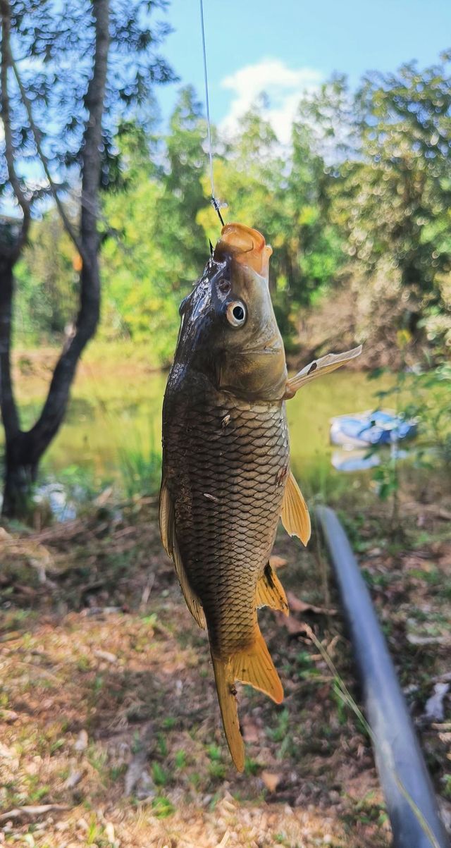 Fishing