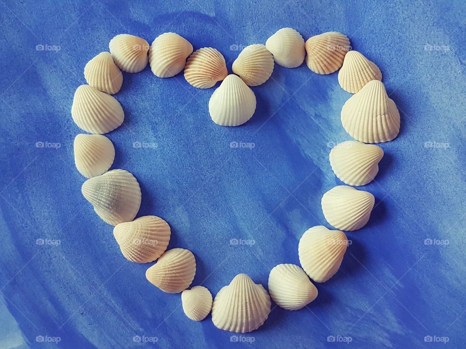 Shells heart