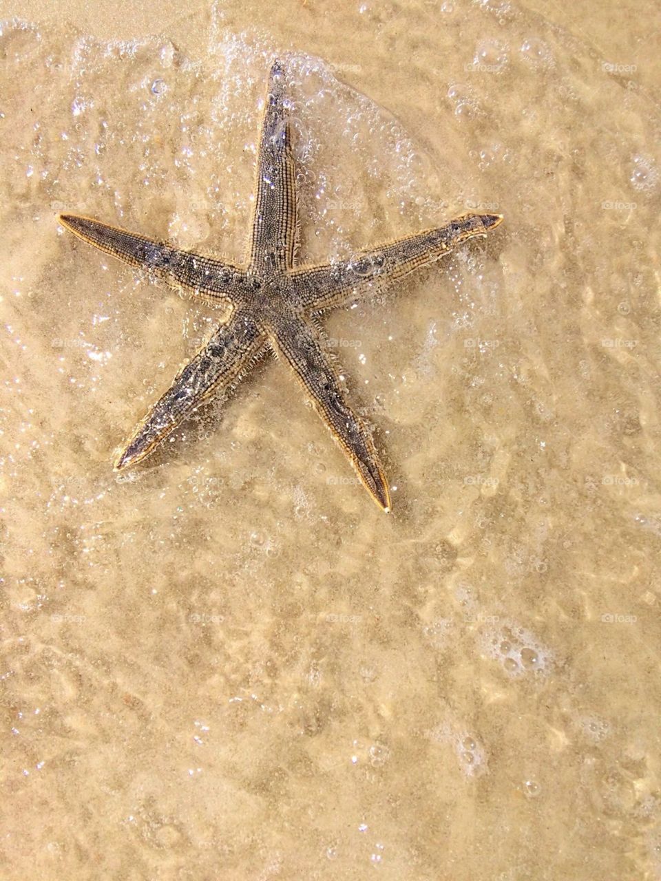 St George Island, Florida