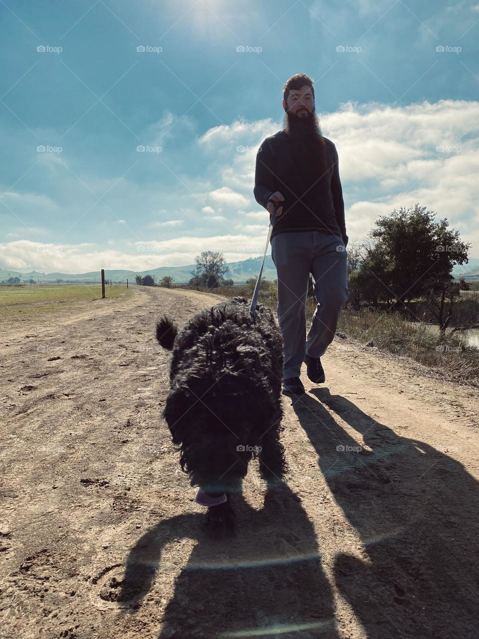 A dog sniffs around while on a walk on a dirt road on a cloudy day. 