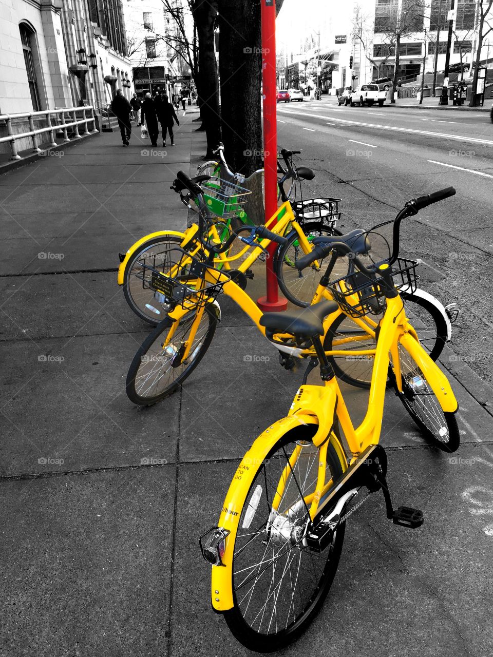 Urban Lifestyle Bicycles in Selective Color 