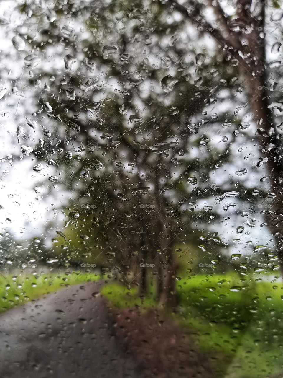 A rural path in Sri Lanka in a rainy day.