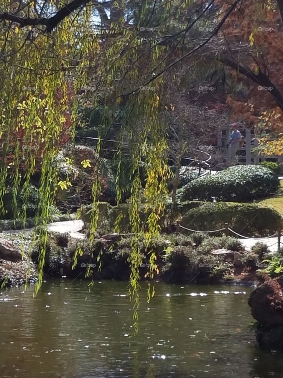 Japanese Gardens at Fort Worth botanical