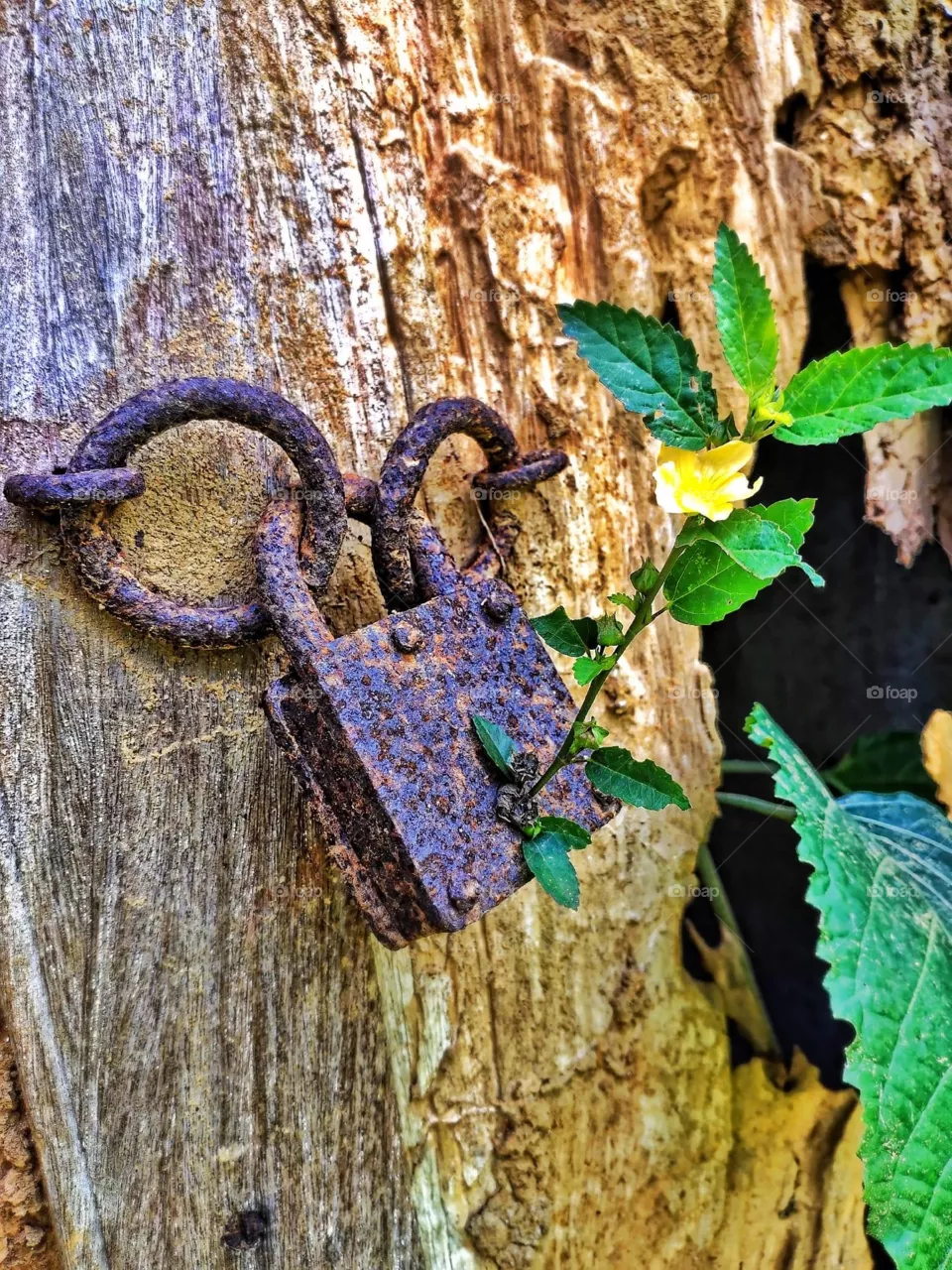Lock