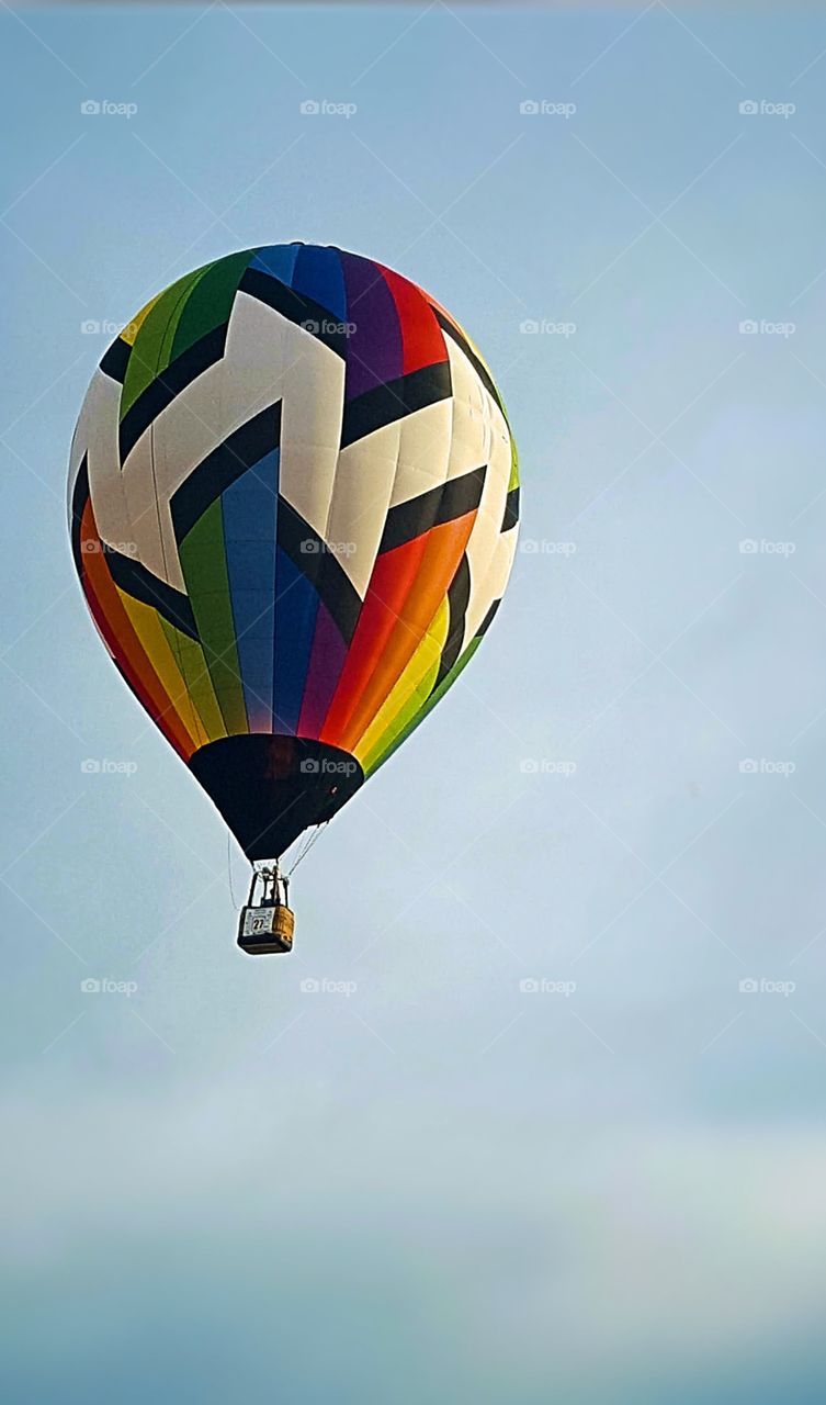 Hot Air Balloon Festival in Michigan