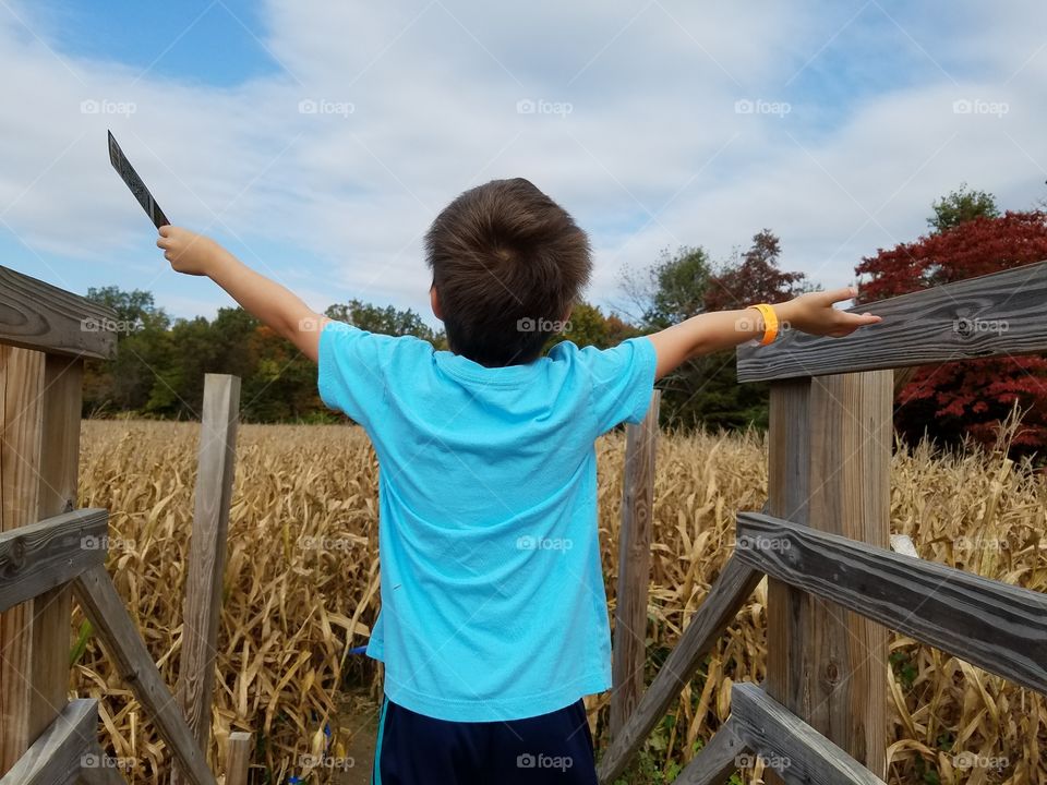 At the top of a corn field