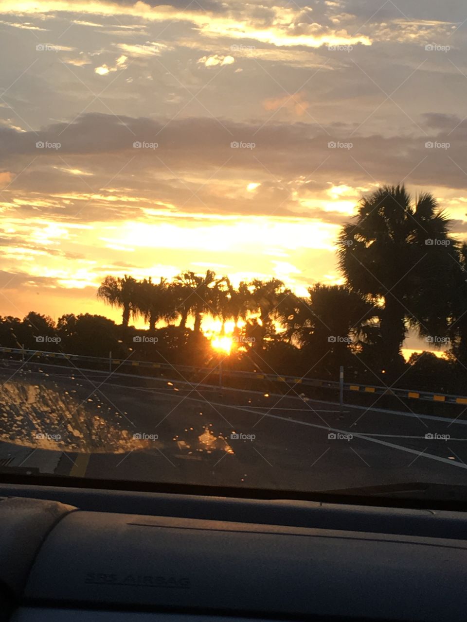 Driving at sunset had its benefits. Good thing I wasn’t driving! Pulled out my phone and got this gorgeous sunset right behind the palms!