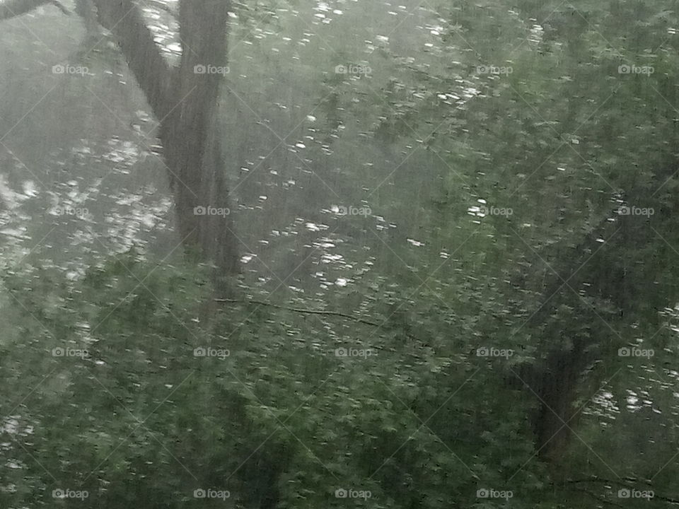 Downpour in July