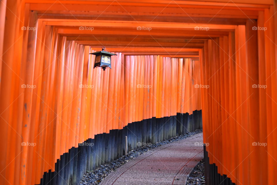 Kyoto, Fushimi-Inari, Japan