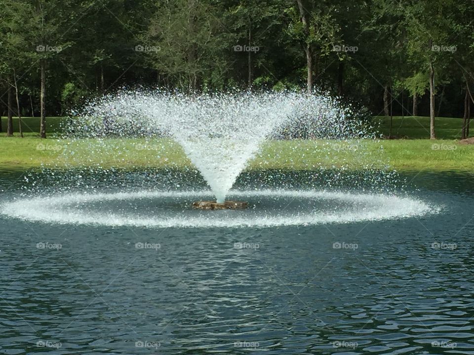 Fountain in a Pond