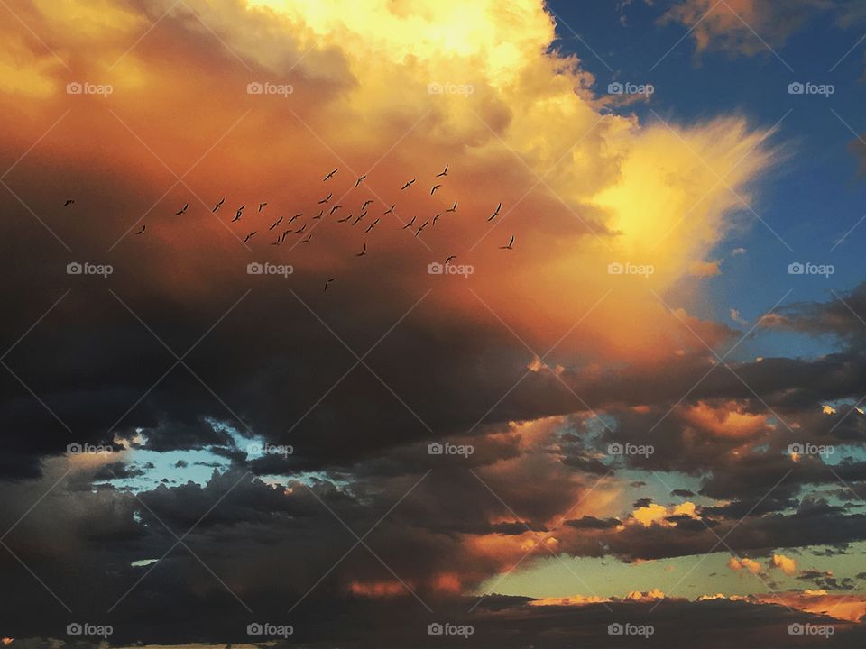 Seagulls flying into dark storm
Clouds in an Australian sunset