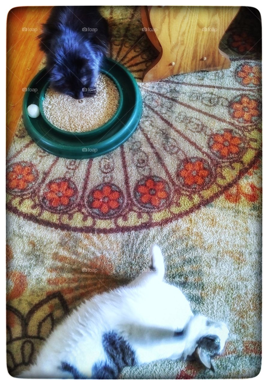 Old, Vintage, Desktop, Color, Culture