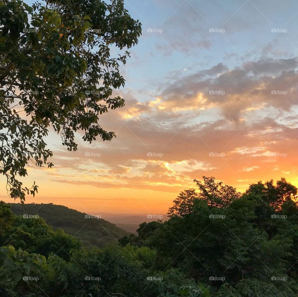 Reflective afternoon