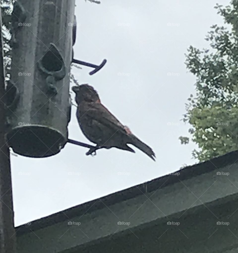 Was underneath when I took picture