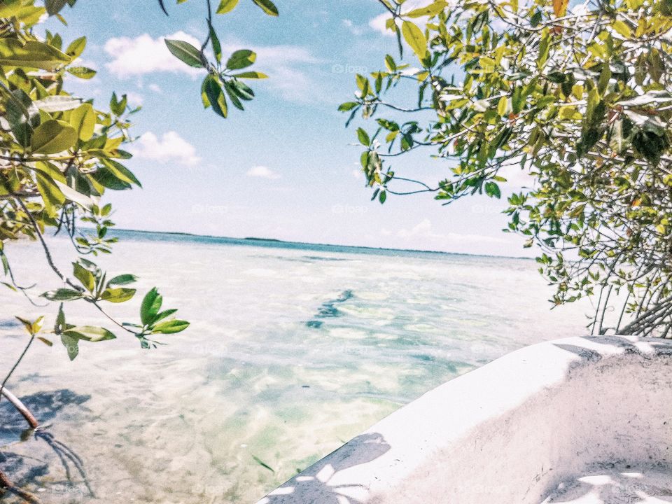 A stunning place in Mexico, in the Middle of the jungle, we discover a place so amazing, so wonderful. I have no word to describe this little paradise