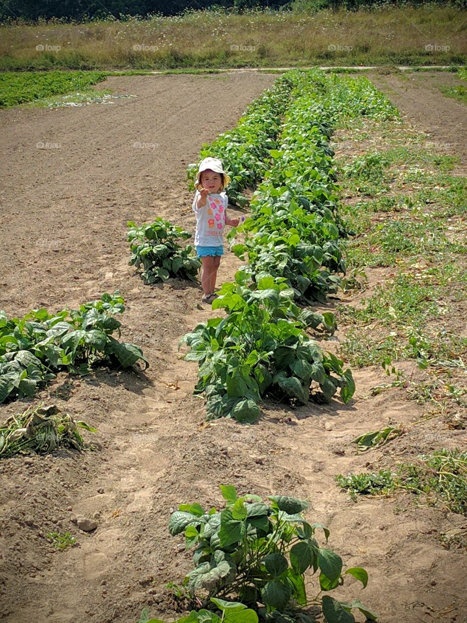 The Littlest Field Worker