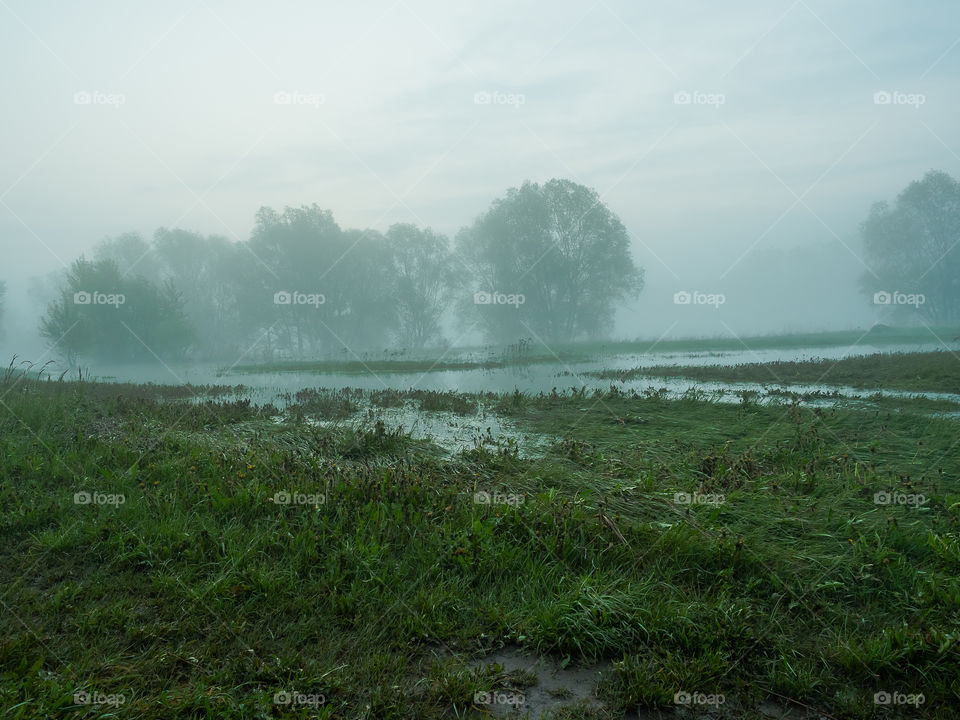 Scenic view of fog in river