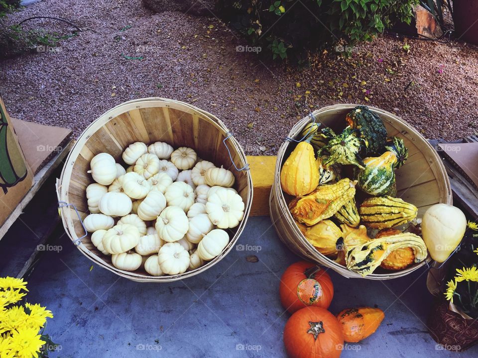 Pumpkins in the baskets