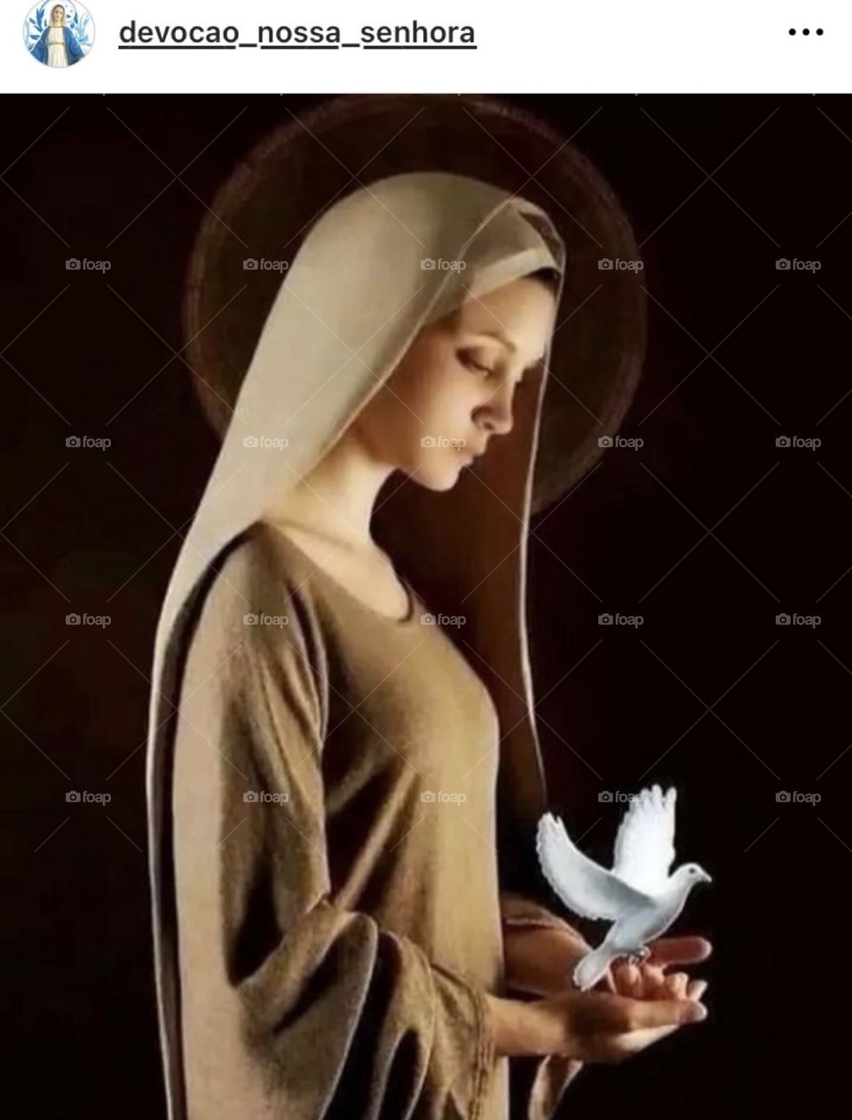 🙏 🇪🇸 Oh Maria, ruega por nosotros que recurrimos a ti.  Amén.  🇧🇷 Ó Maria, Nossa Senhora, rogai por nós que recorremos a vós. Amém. / 🇺🇸 O Mary, pray for us that we turn to you.  Amen. / 🇮🇹 O Madonna, prega per noi che ci rivolgiamo a te. Amen. 