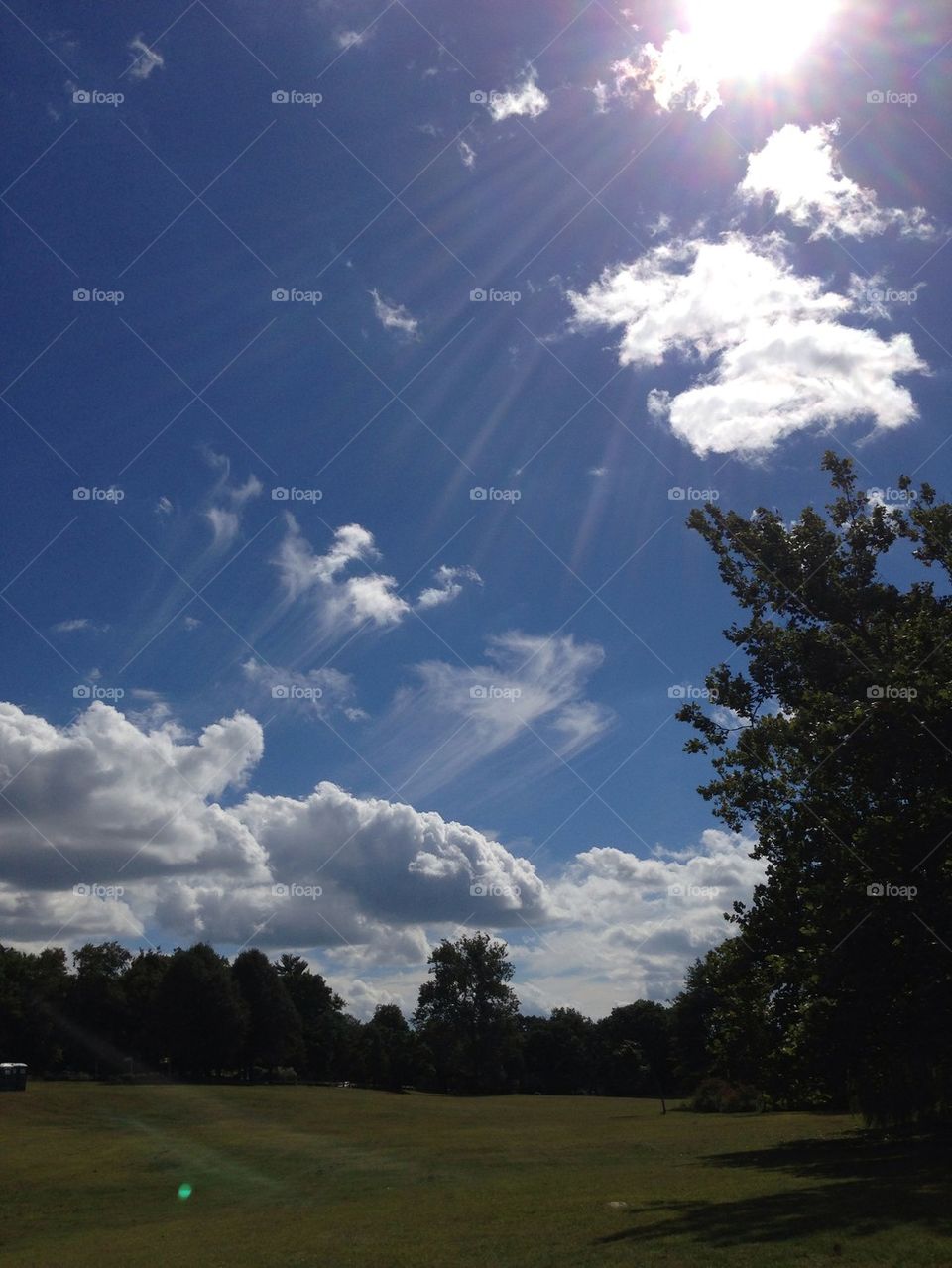 a beautiful day at the park